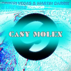 Tremor - Dimitri Vegas, Martin Garrix, Like Mike (Casy RAW edit)
