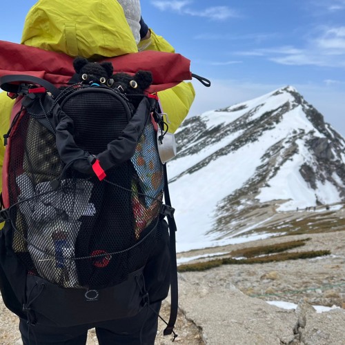 squid game w/ deathbloss0m