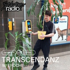 TRANSCENDANZ 1 w/ Epoché