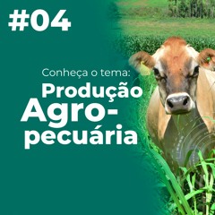 #04 - Produção Agropecuária: conheça o tema