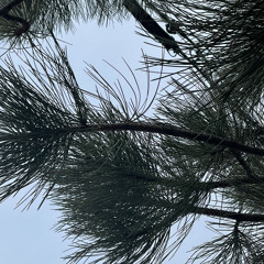 Scratched Glasses 3 with EQ.mp3