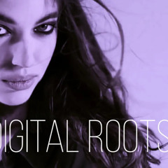 Digital Roots