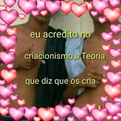 Novinhas Brilham