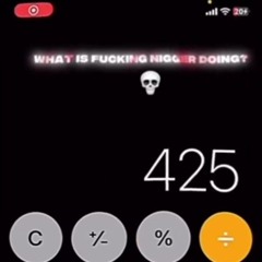 heil - nigga2