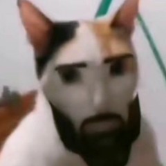 WESTLIBERTY'S, Apoc Krysis - Violation