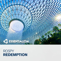 Rospy – Redemption