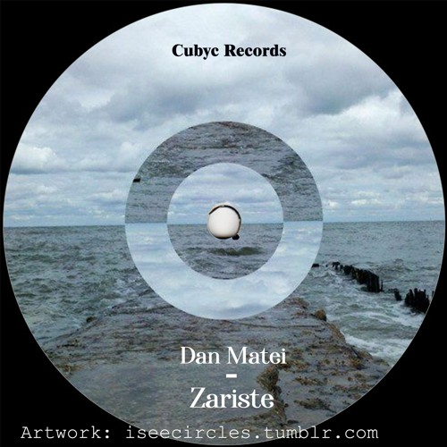 Dan Matei - Zariste
