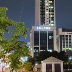 N수생 브이로그