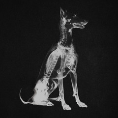 Yeat - Split (Dogs I Know Remix)