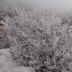 Parlez-vous de moi - Prod. by Gaxillic (on the edge)