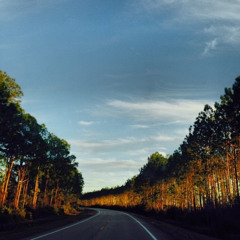 Back Road Country Driving