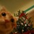 Artwork for Alessia Cara - Make It To Christmas (Heon Seo cover)