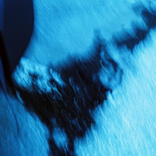 MCCREA - Reverse Bass