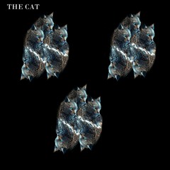 Dusty Kid - The Cat Hieck Rework