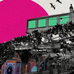 Coyote - Live at Bodega June '24