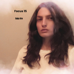 Focus 15