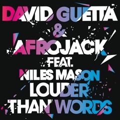 Louder Than Words (feat. Niles Mason) [Radio Edit]