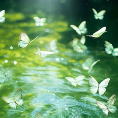 Thân yêu ơi - TNT thời đại thiếu niên đoàn【TNT时代少年团】亲亲爱 (QINQINAI)