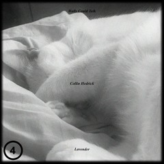 Collin Hedrick - Lavender (Walls Could Talk 04)