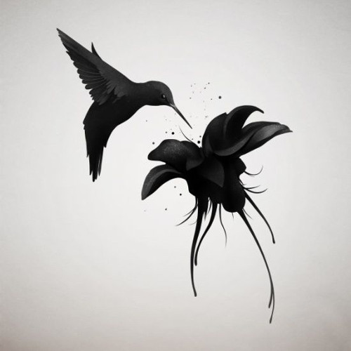 Humming bird (nai)