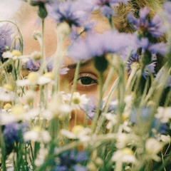 dreams in the flowers fields (River Thinman ambient mix)