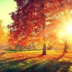 Autumnal Vibes - Volume 3