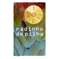 o segredo dos passarinhos, os dois tipos de gênios
