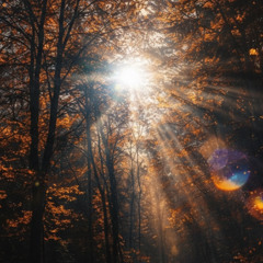 PREMIERE: MiLi - WuzDis