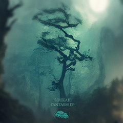 DCD001 Soukah Fantasm Ep Clips