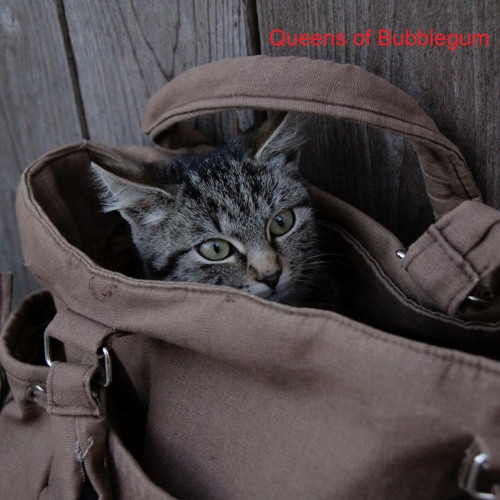 Stream The Cat in the Bag by Queens of Bubblegum Listen online for