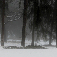 distance (1comrd)