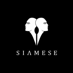 Siamese Selection