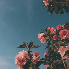 ｓ ｕ ｐ ｅ ｒ ｎ ｏ ｖ ａ-[𝓈 𝓁 𝑜 𝓌 𝑒 𝒹]