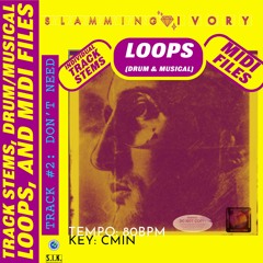 Musical Loop 01 [from: Loop 2(Don't Need)[Full Loop - Cmin/80bpmn]Flues + Bells + Strings/plucks