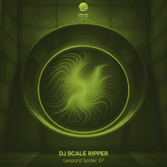 Dj Scale Ripper - Leopard Spider