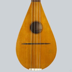 Lies Muller Mandolin - Made In Utrecht, The Netherlands 1982