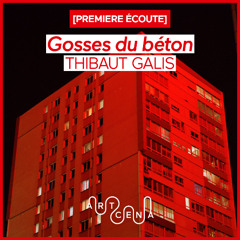 Lecture - « Gosses du béton » de Thibaut Galis