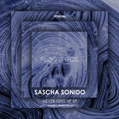 Sascha Sonido - Never Give Up (Mariche Remix) (Snippet)