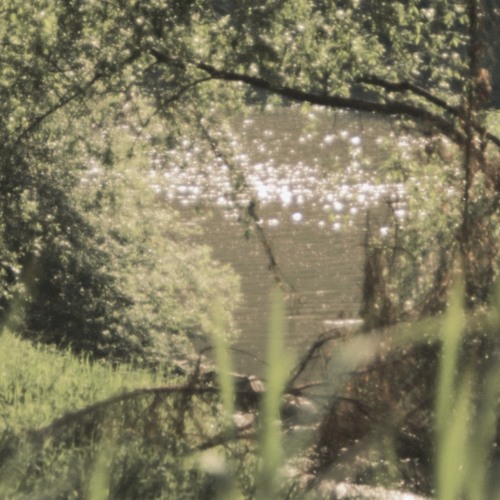 boywhocriedwitch (prod. Gisabella)