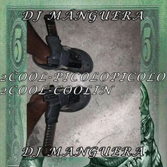 2cool - picolopicolo {DJ MANGUERA REMIXED EDITION} #DOGFOOD