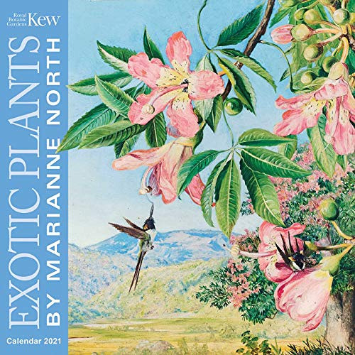 FREE EBOOK 📙 Kew Gardens - Exotic Plants by Marianne North Wall Calendar 2021 (Art C
