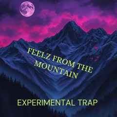 Feelz from the Mountain - Experimental trap