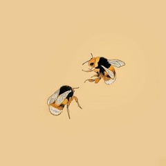 Chị Ong Nâu No Know - Huy Bùi (prod. by Gabriel Domenic)