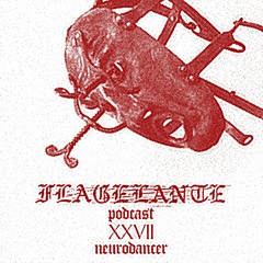 CHAPTER XXVII: NEURODANCER