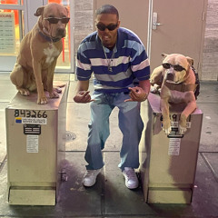 NIGGAS ON THE RUN By Barbarian Lowdown Ft. Lexx B, DJ MKM