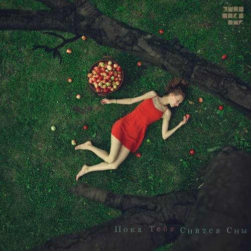 Пока Тебе Снятся Сны ( While You are Dreaming )