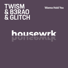 TWISM & B3RAO & GLITCH - Wanna Hold You (Extended Mix)