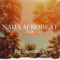 Dj Lamosca - MIX NAIJA and afro beat 2023