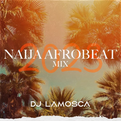 Stream Dj Lamosca MIX NAIJA and afro beat 2023 by Lamosca Listen