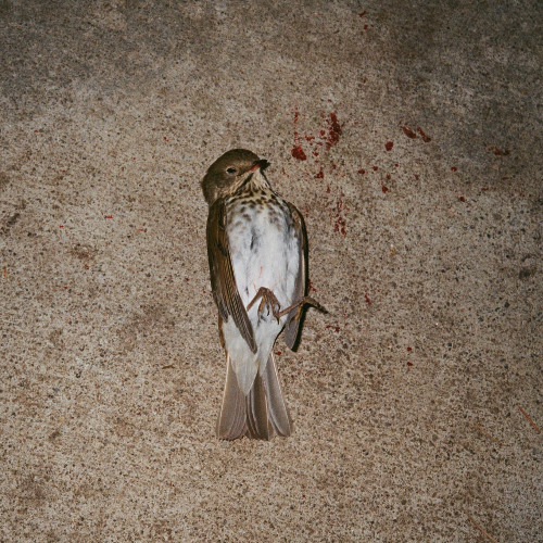 do you want me to leave